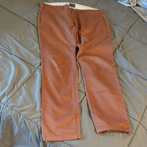 Levi's Men's Brown Chino Pants